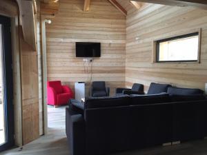 ヴィラール・ド・ランにあるChalet La Vercoulineのソファと薄型テレビが備わる客室です。