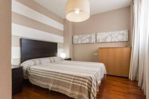 1 dormitorio con 1 cama grande con manta a rayas en LUXURY PENTHOUSE near beach/Seaview en Valencia