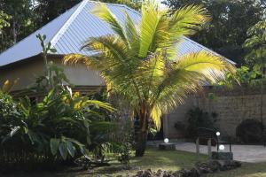 a palm tree in front of a house at Calico Jack's Resort in Sayab Camp