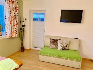 Sjónvarps- og/eða afþreyingartæki á Appartements Zillertal Noten