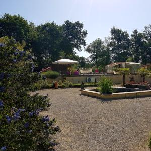 un jardin avec des fleurs et des plantes dans une cour dans l'établissement La table de Pierre, à Lussas-et-Nontronneau