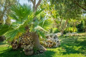 Zahrada ubytování Hotel Club Cala Romani