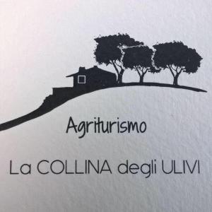 dessin d'une maison sur une colline arborée dans l'établissement La Collina Degli Ulivi, à Forano