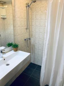 a bathroom with a sink and a shower with a shower curtain at Appartement aan het strand De Zeemeermin in Zoutelande