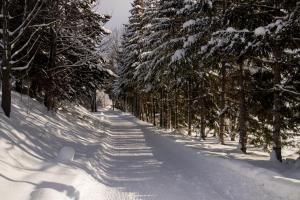 Alpenperle v zimě