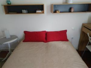 a bed with two red pillows in a room at ESQUI - PIRINEO DE HUESCA - GOLF & RELAX - VALLE de TENA in Sabiñánigo +38 photos
