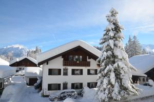 pokryty śniegiem budynek z pokrytym śniegiem drzewkiem świątecznym w obiekcie Ferienwohnung Steinhauser w mieście Klais