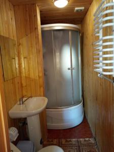 a bathroom with a shower and a toilet and a sink at Kazka in Yablunytsya