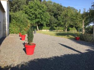 uma fila de vasos de plantas numa calçada de cascalho em Gîte de Bel air em Villeloin-Coulangé