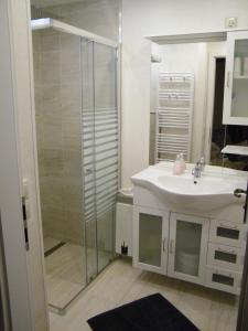 a bathroom with a sink and a shower at Ferienwohnung Bibas in Kurort Jonsdorf