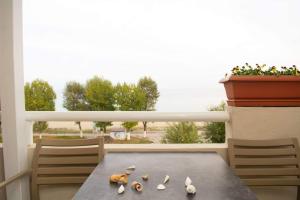 a table with shells on it with a window at Giorgos Apartments Sea View in Olympic Beach