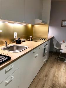 Η κουζίνα ή μικρή κουζίνα στο Cool & Central 2 bedroom in heart of Eaux-vives