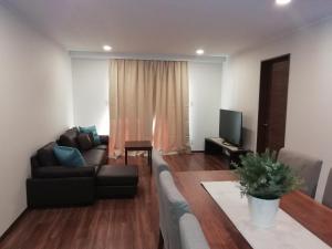 a living room with a couch and a tv at Hakuba Powder Cottage Crystal in Hakuba
