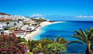 vistas a una playa con palmeras y edificios en LOLALAND, en Morro del Jable