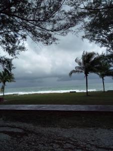 una playa con una palmera y el océano en Syahril homestay, en Dungun