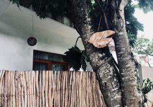 Fotografie z fotogalerie ubytování Madla rooms v destinaci Weligama