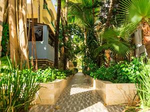 un sentiero attraverso un giardino con palme e un edificio di Plaza Real Resort a Juan Dolio