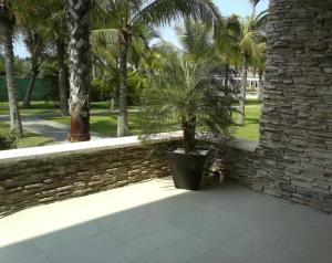a palm tree in a pot next to a stone wall at La Isla Gran Cayman 904 in Acapulco