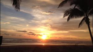 una puesta de sol en la playa con dos palmeras en La Isla Gran Cayman 904, en Acapulco