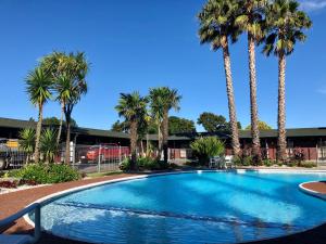 a swimming pool with palm trees in front of a building at Teal Motor Lodge in Gisborne