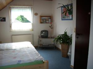 a bedroom with a bed and a window and a tv at Steffens in Soltau