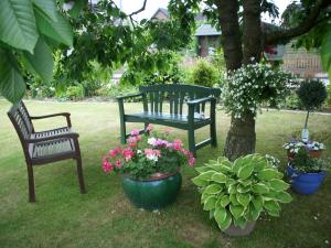 two benches and flowers and plants in a yard at Steffens in Soltau