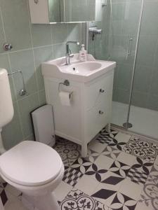 een badkamer met een toilet, een wastafel en een douche bij Ferienwohnung im Harz in Bad Lauterberg