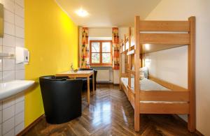 a small room with a bunk bed and a sink at Jugendherberge Regensburg in Regensburg