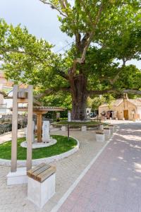Zahrada ubytování Villa Scala 2 - Mlini