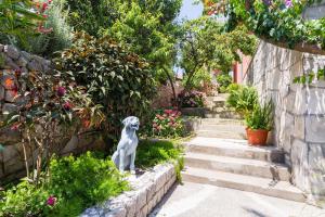 Zahrada ubytování Villa Scala 2 - Mlini