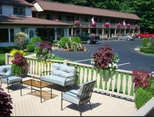 Zahrada ubytování Tall Pines Motel + 26 fotografií