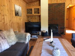 Sjoaasen Hytte في Tuddal: غرفة معيشة مع أريكة وتلفزيون بشاشة مسطحة