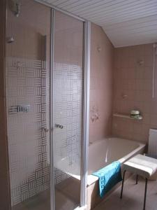 ゾルタウにあるMeyerのバスルーム(バスタブ、ガラス張りのシャワー付)