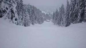 Appartmenthaus Hochkönig v zime