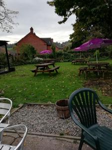 um grupo de mesas de piquenique e bancos com guarda-chuvas roxos em The Royal Oak em Kington