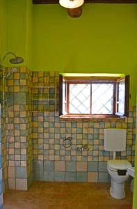 ein grünes Bad mit einem WC und einem Fenster in der Unterkunft Casale Poggio Colpiccione in Passignano sul Trasimeno