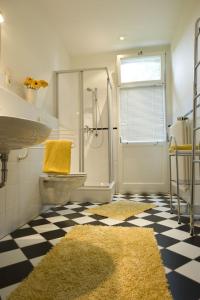 a bathroom with a shower and a toilet and a sink at Auf dem Berg Hude in Hude