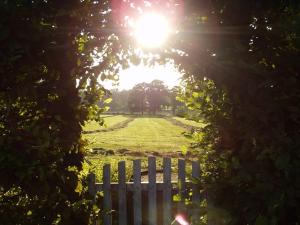 a view of a park with a white fence and the sun at Auf dem Berg Hude in Hude