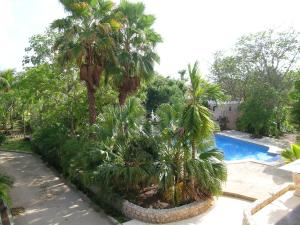 A piscina localizada em Casa Las Palmas Hotel Boutique ou nos arredores