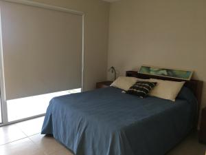 a bedroom with a blue bed with a large window at AYRES DEL MAR de Cobo in Mar de Cobo
