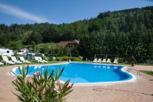 a swimming pool with chairs and a mountain at Albatross Mobile Homes on Camping Bella Austria in Sankt Peter am Kammersberg