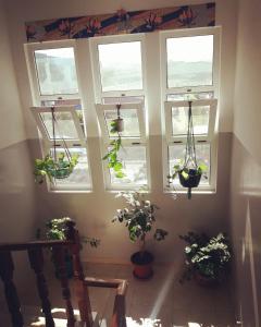 Balcone o terrazza di Meeting Point- Tarrafal Center, also in Praia & Fogo-NO CASH ACCEPTED