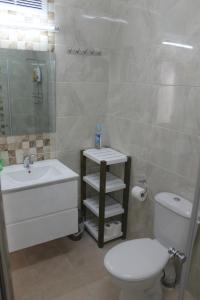 a bathroom with a white toilet and a sink at Villa Kibel Apartments in Eilat