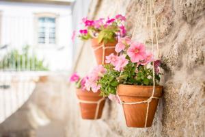 Um jardim em Casa das Muralhas