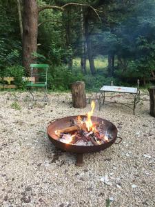 a fire pit in a park with a bench and a picnic table at Hotel Sonnenhof in Merzig