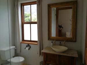 a bathroom with a sink and a toilet and a mirror at Bakovenbay Luxury Suites in Cape Town