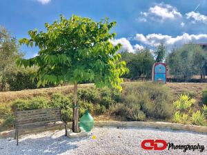 Aed väljaspool majutusasutust B&B Orsobigio
