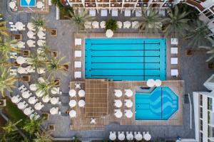 uma vista sobre uma piscina com espreguiçadeiras e palmeiras em Sport Club by Isrotel Collection em Eilat