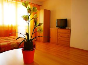 ein Schlafzimmer mit einer Topfpflanze auf einem Tisch in der Unterkunft Penzion Fortuna Dudince in Dudince