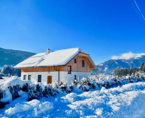 ein schneebedecktes Haus mit Büschen und Bergen in der Unterkunft AlpenChalet Mitterberg in Mariapfarr